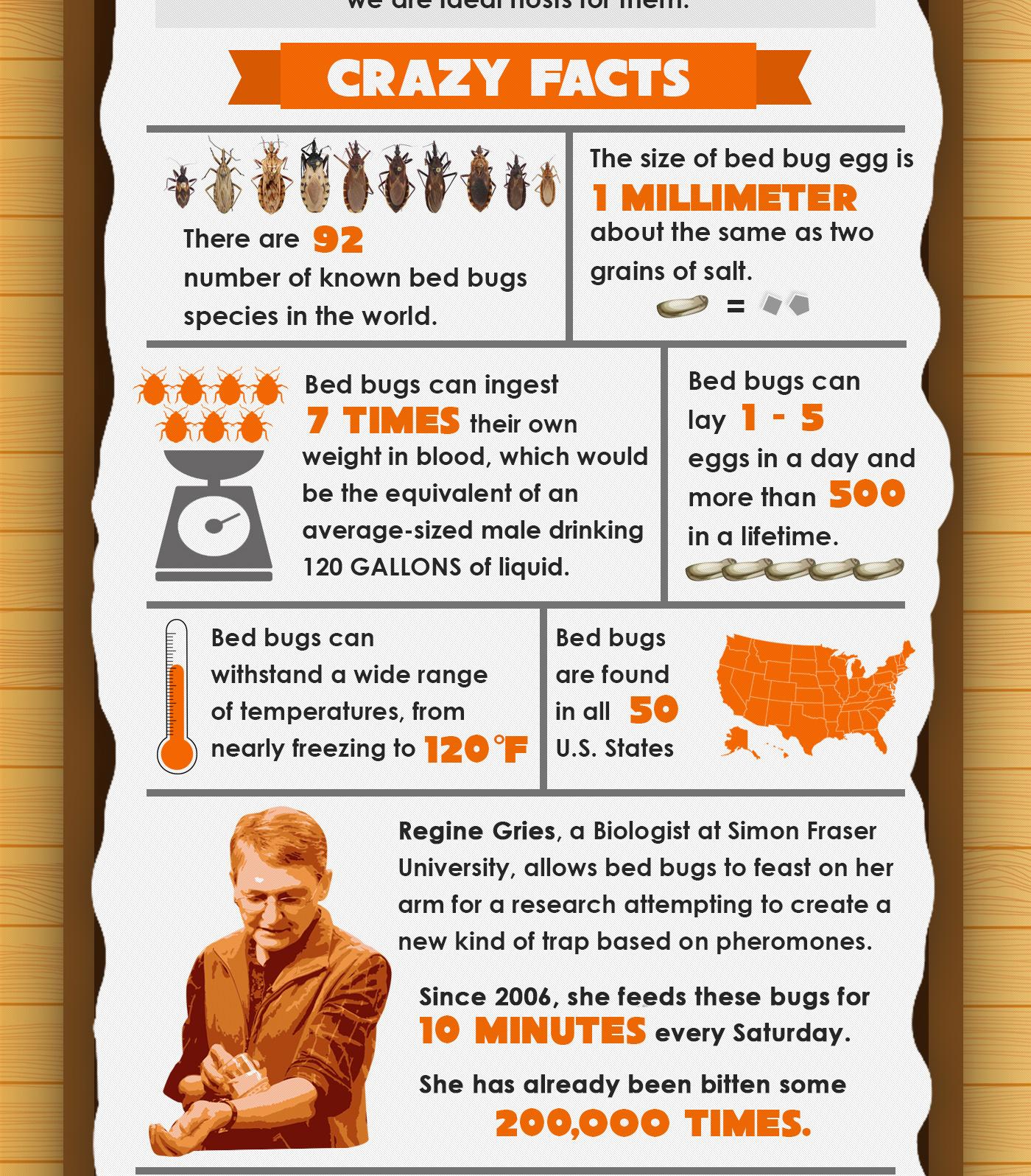7 Crazy Facts About Bed Bugs Infographic Bed Bug Guide