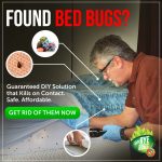 How To Choose A Bed Bug Exterminator - Bed Bug Guide